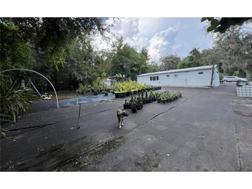 Outdoor space with greenery, featuring various potted plants around a white building and open space at 40431 Country Rd, Eustis, FL 32736