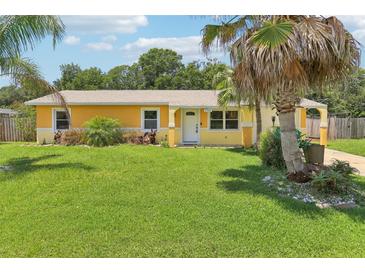 Charming one-story home with a well-maintained lawn and mature palm trees at 2704 Yule Tree Dr, Edgewater, FL 32141