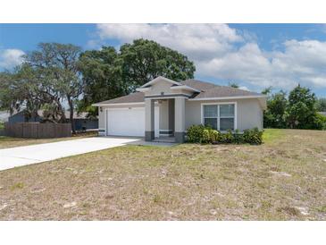 Charming single-story home features a well-maintained lawn and a welcoming front entrance with modern architectural details at 2044 Hillview Cir, Deltona, FL 32738