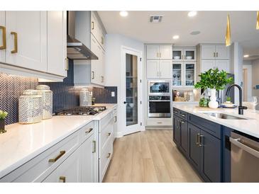 Bright, modern kitchen with stainless steel appliances, white cabinetry, and a stylish blue backsplash at 842 Creeping Fig St, Apopka, FL 32703
