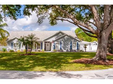Charming single-story home with a well-manicured lawn, mature trees, and inviting curb appeal at 32937 Scenic Hills Dr, Mount Dora, FL 32757