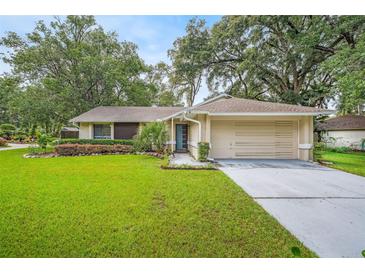 Well-maintained single-story home with a lush green lawn and mature trees in a quiet neighborhood at 7806 Compass Dr, Orlando, FL 32810