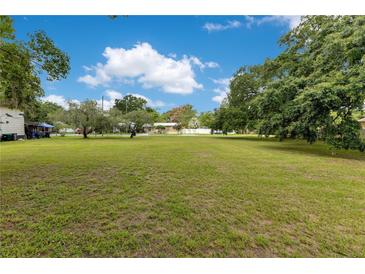 Expansive grassy lot with mature trees and blue skies, perfect for building or recreation at 9329 7Th Ave, Orlando, FL 32824