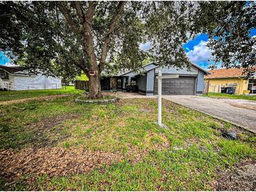 Charming single-Gathering home featuring a well-maintained lawn, mature trees, and a two-car garage at 6849 Palomino Dr, Lakeland, FL 33811