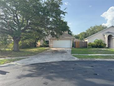 Charming single-Gathering home featuring a well-maintained lawn, large tree, and a two-car garage at 1133 Olympic Ct, Apopka, FL 32712