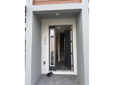 Contemporary home's front entry showcases a modern door and walkway leading inside the house at 3213 Energy Dr, Kissimmee, FL 34747