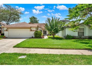 Beautiful house with a well-maintained lawn, complemented by lush landscaping and a clean driveway at 11548 Pumpkin Seed Ct, Orlando, FL 32821