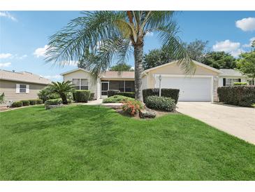 Well-maintained front yard with lush green grass, mature palm tree, and charming landscaping at 17097 Se 96Th Chapelwood Cir, The Villages, FL 32162