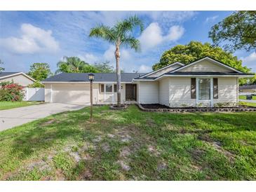Charming single-story home with a well-manicured lawn and a mature palm tree in the front yard at 4800 Reginald Rd, Orlando, FL 32829
