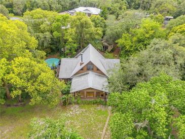 Aerial view of secluded home featuring a pool and surrounded by lush greenery and mature trees at 32125 Okaloosa Trl, Sorrento, FL 32776