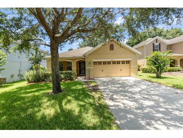 Charming single-Gathering home features a well-manicured lawn and a two-car garage at 30308 Cheval St, Mount Dora, FL 32757