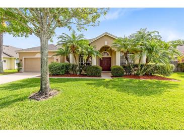 Landscaped front yard with palm trees leading to a charming single-story home with a two-car garage at 315 Belhaven Falls Dr, Ocoee, FL 34761