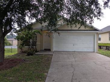 Charming single-story home with a two-car garage and a well-maintained front lawn at 1027 Sheeler Hills Dr, Apopka, FL 32703