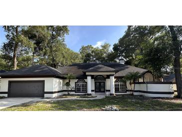 Charming single-story home featuring a well-manicured lawn and a two-car garage at 2313 Park Village Pl, Apopka, FL 32712