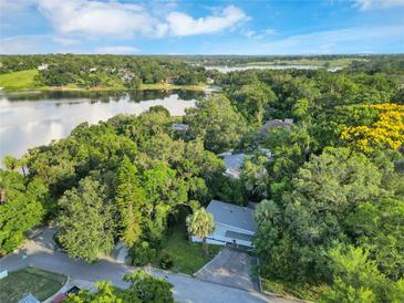 Expansive aerial shot of a charming lakeside community nestled among lush greenery and stunning waterfront views at 1630 Lakeview Ct, Eustis, FL 32726
