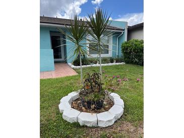 View of the front yard featuring a plant ring with two young palm trees at 976 Alicante Ave, Orlando, FL 32807