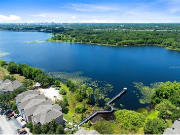 Expansive aerial view of a scenic lake community with lush greenery at 3446 Soho St # 108, Orlando, FL 32835