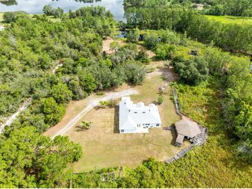 Breathtaking aerial view of property, featuring lake access, and outdoor entertainment area with wooden walkway at 538 Murray St, Osteen, FL 32764