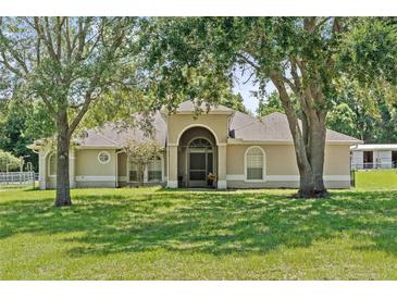 Spacious home featuring arched entryway, circular windows, and mature trees at 19630 County Road 455, Clermont, FL 34715