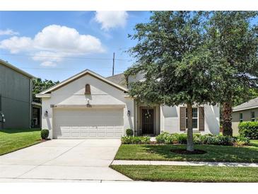 Charming single-story home featuring a two-car garage, neutral paint, and well-manicured landscaping at 2718 Limerick Cir, Grand Island, FL 32735