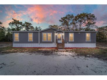 Charming single-story home with gray siding and inviting front entrance under a beautiful sunset at 11837 Se 165 Ave, Ocklawaha, FL 32179