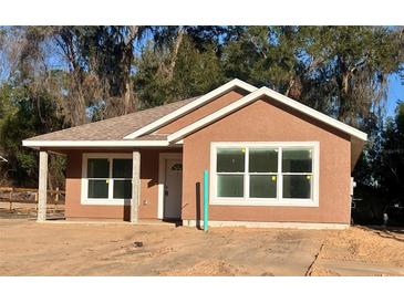 Charming new construction home featuring a neutral color scheme, complemented by white trim, and large windows at 13253 Se 35Th Ct, Belleview, FL 34420