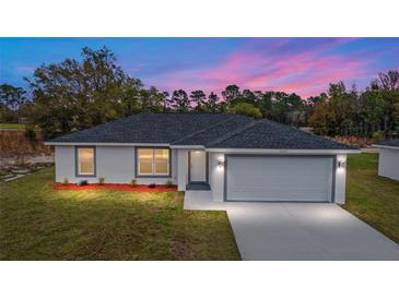 New single-story home with gray garage door and landscaped yard at 13814 Sw 100 Ln, Dunnellon, FL 34432