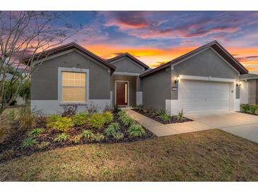 Gray house with a red door, two-car garage, and landscaped yard at 7402 Sw 99Th Ave, Ocala, FL 34481