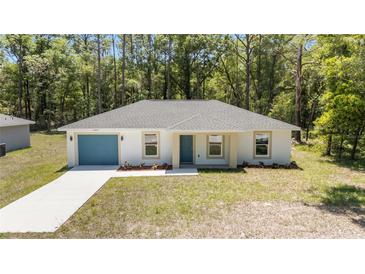 Charming single-story home with blue garage door and well-manicured front lawn surrounded by lush trees at 15304 Sw 27 Ln, Ocala, FL 34481