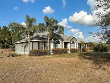 Single-story home with palm trees and a spacious yard at 7045 Greengrove Blvd, Clermont, FL 34714