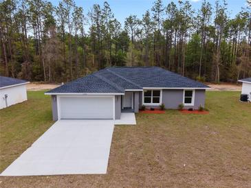 Charming single-story home with a well-manicured lawn, a two-car garage, and a welcoming front entrance at 13910 Sw 113 Ln, Dunnellon, FL 34432