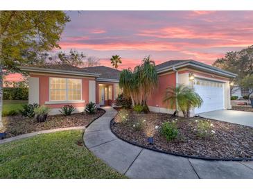 Charming coral home with a well-manicured lawn and a lovely walkway leading to the front door at 13625 Se 93Rd Court Rd, Summerfield, FL 34491