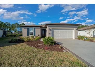 Charming single-story home with a well-manicured front yard and a two-car garage at 6185 Sw 89Th Ct, Ocala, FL 34481