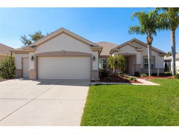 Charming single Gathering home with attached two car garage, manicured lawn, and mature landscaping at 13544 Se 89Th Terrace Rd, Summerfield, FL 34491