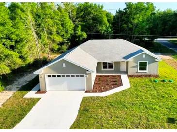 Charming single-story home with a well-manicured lawn and an attached two-car garage at 14 Bay Terrace Pass, Ocklawaha, FL 32179