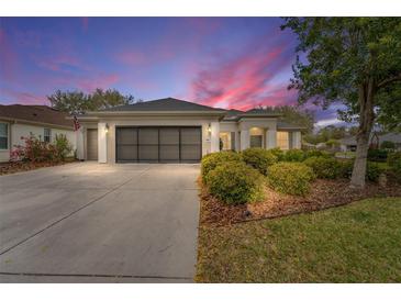 Charming home featuring a two-car garage, meticulous landscaping, and a well-maintained lawn at 8961 Se 130Th Loop, Summerfield, FL 34491