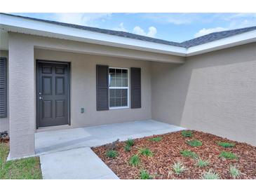 Inviting front entrance with brown door and landscaped yard at 6047 Sw 128Th Street Rd, Ocala, FL 34473