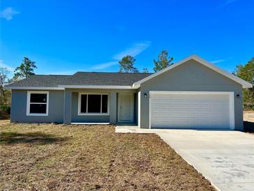 Charming single-story home with gray exterior, well-maintained lawn, and two-car garage in a suburban neighborhood at 12 Fisher Loop Ct, Ocklawaha, FL 32179
