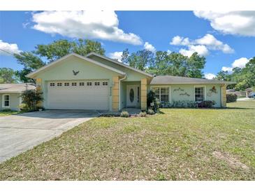 Charming single-story home with a two-car garage, walkway to the front door, and lovely landscaping at 9300 Se 161St St, Summerfield, FL 34491