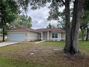 Charming single-story home features a well-maintained lawn and attached two car garage at 16331 Se 81St Ct, Summerfield, FL 34491