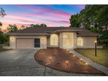 Charming single-story home with a manicured lawn, landscape lighting and a two-car garage at 8221 Sw 217 Ct, Dunnellon, FL 34431