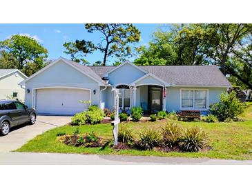 Charming single-story home with a well-manicured lawn, fresh landscaping, and attached garage at 11591 Sw 78Th Ave, Ocala, FL 34476