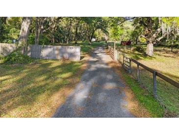Long driveway leading to the property with mature trees and natural landscaping at 6700 Nw 57Th Ave, Ocala, FL 34482