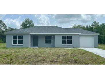 Charming single-story home features a freshly painted exterior, a well-manicured lawn, and an attached single-car garage at 87 Guava Pass Dr, Ocklawaha, FL 32179