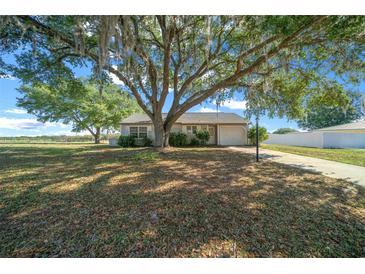 Charming single-story home with a large front yard shaded by a mature tree at 1115 Silver Rd, Ocala, FL 34472