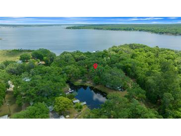 Stunning aerial view of a wooded property with pond and lake access and a pin marking the residence location at 14190 Ne 209Th Ct, Fort Mc Coy, FL 32134