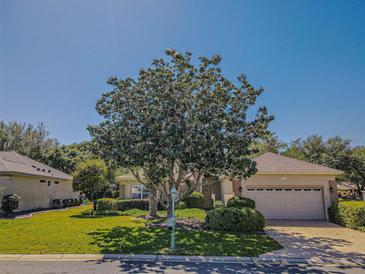 Charming single-story home with a well-manicured lawn, mature landscaping, and attached two-car garage at 9325 Se 132Nd Pl, Summerfield, FL 34491