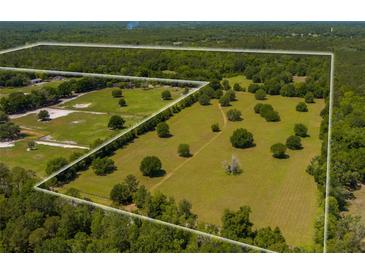 Expansive aerial view of acreage surrounded by mature trees and marked by a white property line at 11420 Nw 110Th Ave, Reddick, FL 32686