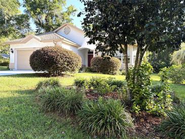 Charming home featuring mature landscaping, green grass, and an inviting front entrance at 19059 Sw 92Nd Loop, Dunnellon, FL 34432
