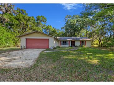 Charming single-story home with a well-maintained lawn and mature trees, featuring a red garage door at 16571 Se 95Th Street Rd, Ocklawaha, FL 32179
